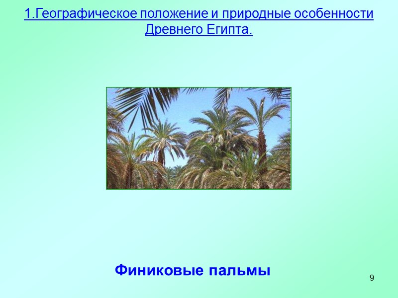 9 Финиковые пальмы 1.Географическое положение и природные особенности Древнего Египта.